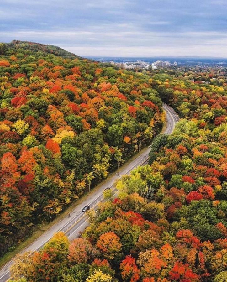 Hotel And Suites Les Laurentides Saint-Sauveur-des-Monts 外观 照片